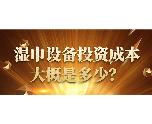 濕巾設(shè)備投資成本大概是多少？
