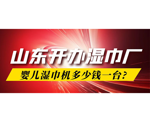 山東開辦濕巾廠，嬰兒濕巾機多少錢一臺?