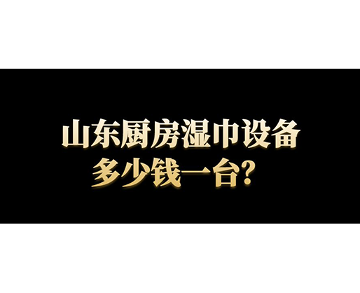 山東廚房濕巾設(shè)備多少錢(qián)一臺(tái)？
