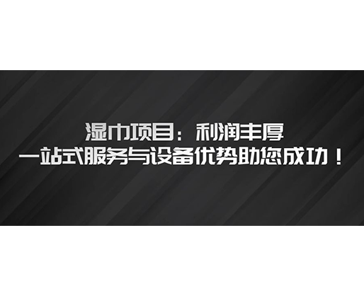 濕巾項(xiàng)目：利潤豐厚，一站式服務(wù)與設(shè)備優(yōu)勢助您成功！