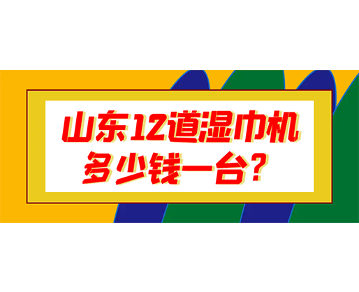 山東12道濕巾機多少錢一臺？